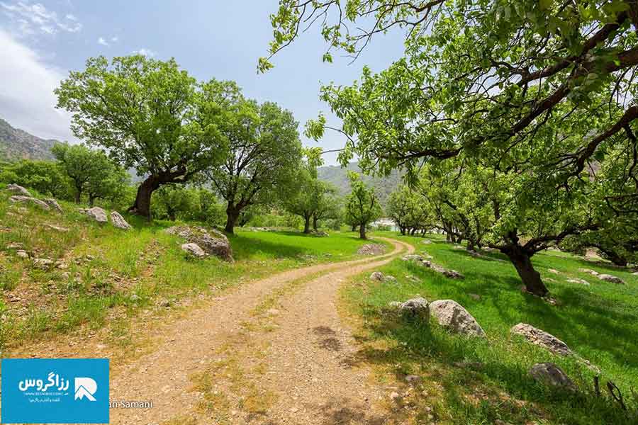 بازفت،-اکوموزه-طبیعت-ایران-(111)