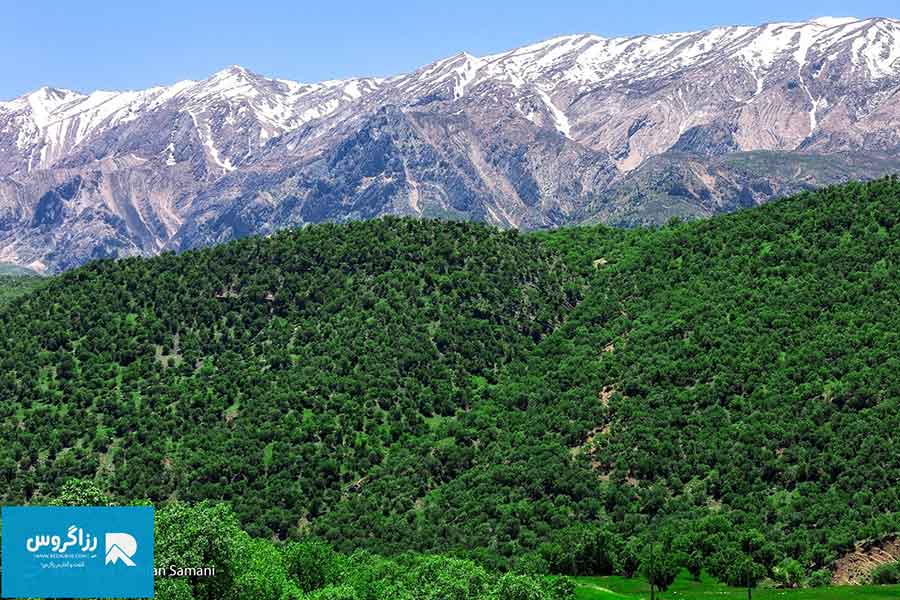 بازفت،-اکوموزه-طبیعت-ایران-(117)
