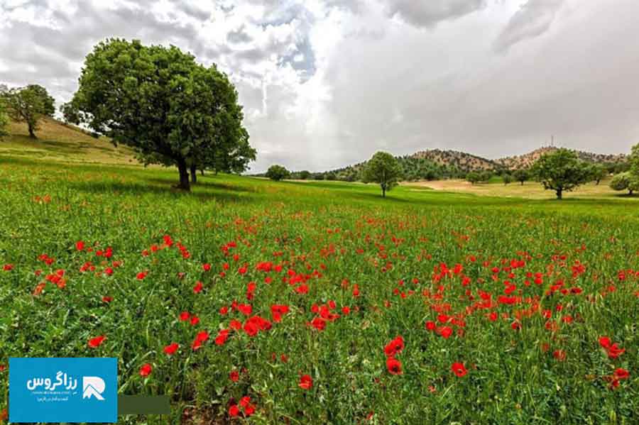 بازفت،-اکوموزه-طبیعت-ایران-(46)