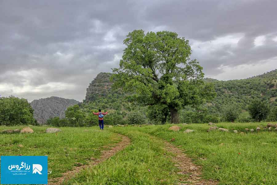 بازفت،-اکوموزه-طبیعت-ایران-(57)