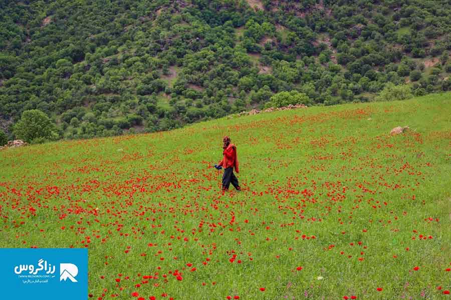 بازفت،-اکوموزه-طبیعت-ایران-(62)