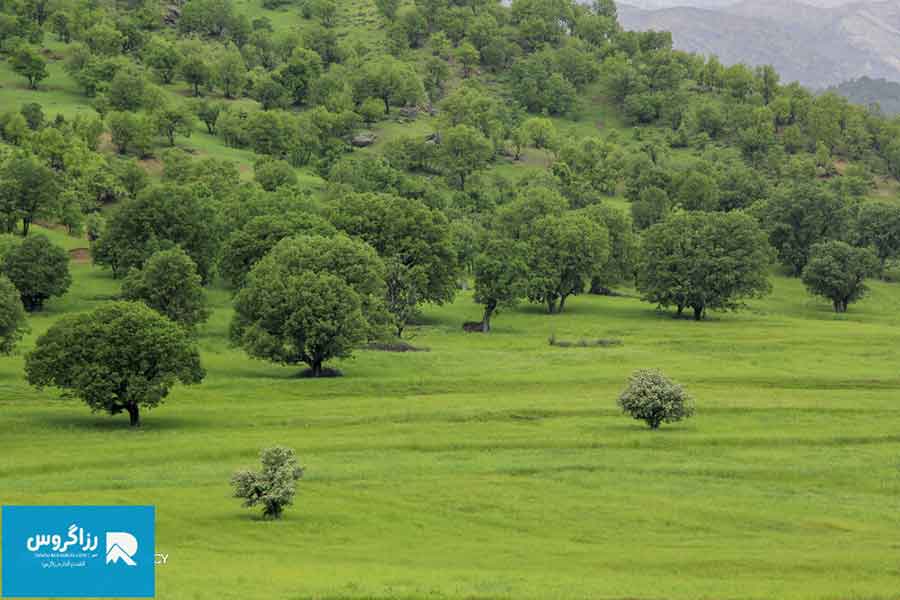 بازفت،-اکوموزه-طبیعت-ایران-(68)