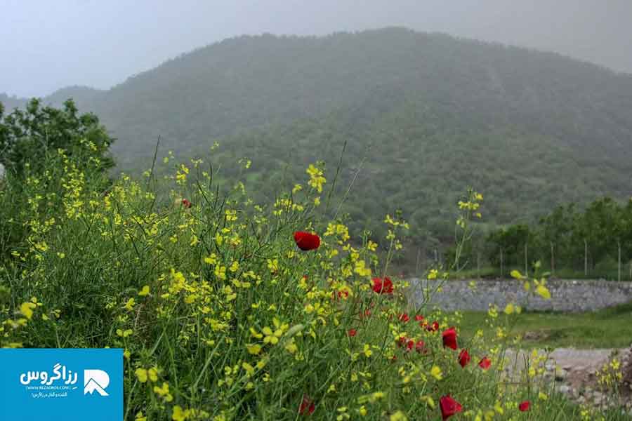 بازفت،-اکوموزه-طبیعت-ایران-(69)