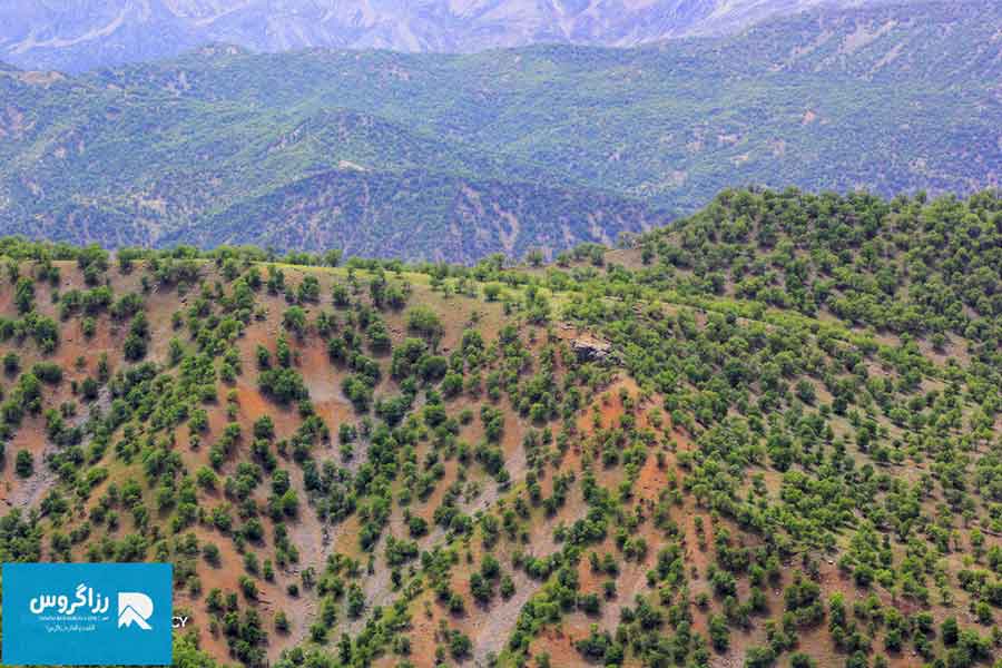 بازفت،-اکوموزه-طبیعت-ایران-(72)