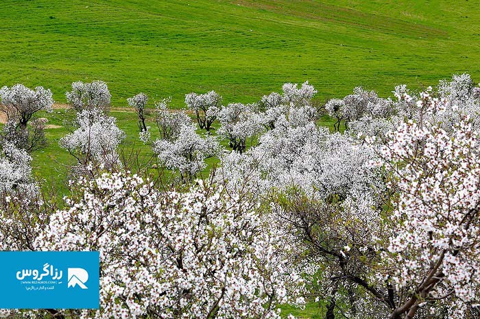جاهای دیدنی دوپلان