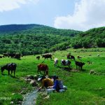 جاذبه های تفریحی توریستی مازندران