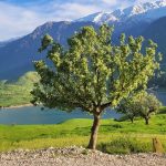 جاهای دیدنی لردگان_ زاگرسگردی