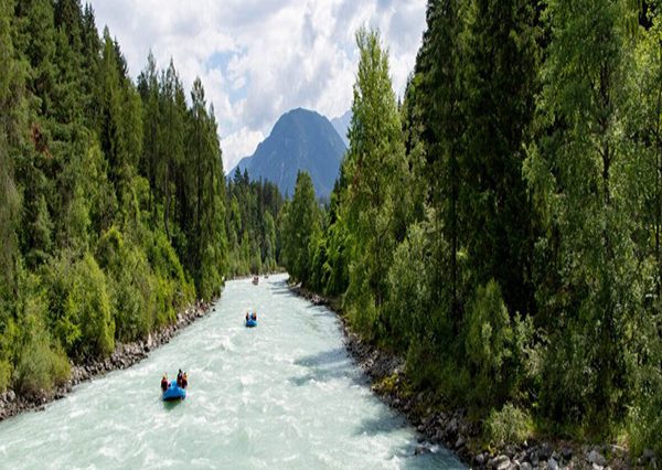 رفتینگ سامان از شیراز