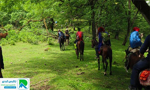 تور اسب سواری در طبیعت سامان با زاگرس گردی