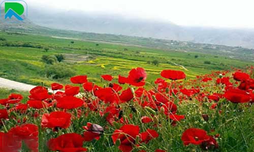 تور داخلی خوزستان