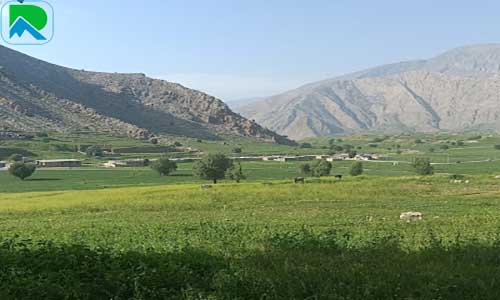 سفر به دشت سوسن با شرکت زاگرس گردی