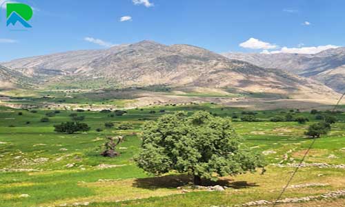 سفر به دشت یپسوسن با قیمت مناسب در تابستان