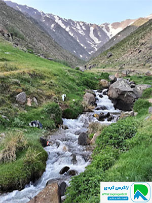 آبشار نوژیان لرستان