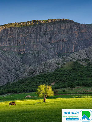 مخمل کوه و طبیعت لرستان