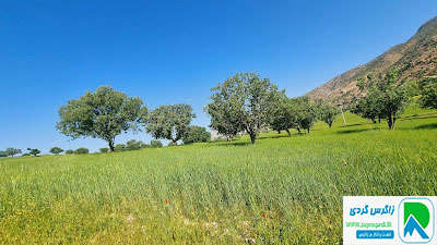 جاذبه گردشگری دزپارت خوزستان_ زاگرس گردی