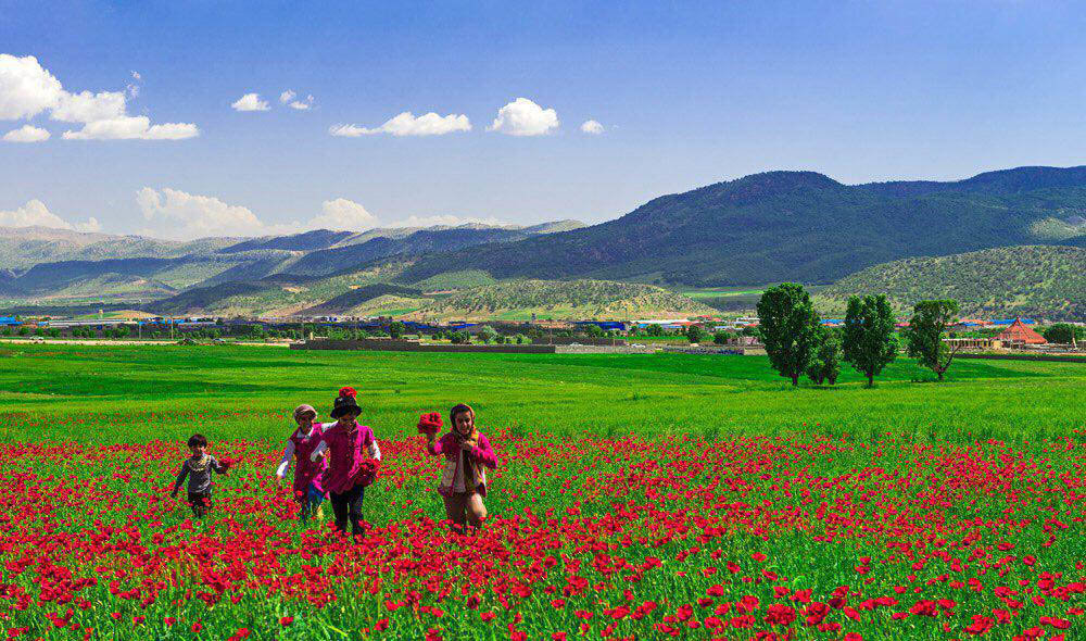 تور داخلی کهگلویه و بویراحمد