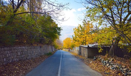 تور طبیعت‌گردی جنگلی روستای گوشخانی ????✨ | شـانار گشت