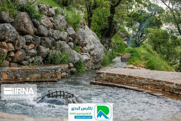 تور طبیعت‌گردی کانی قل سروآباد تجربه‌ای ناب در طبیعت بهاری کردستان